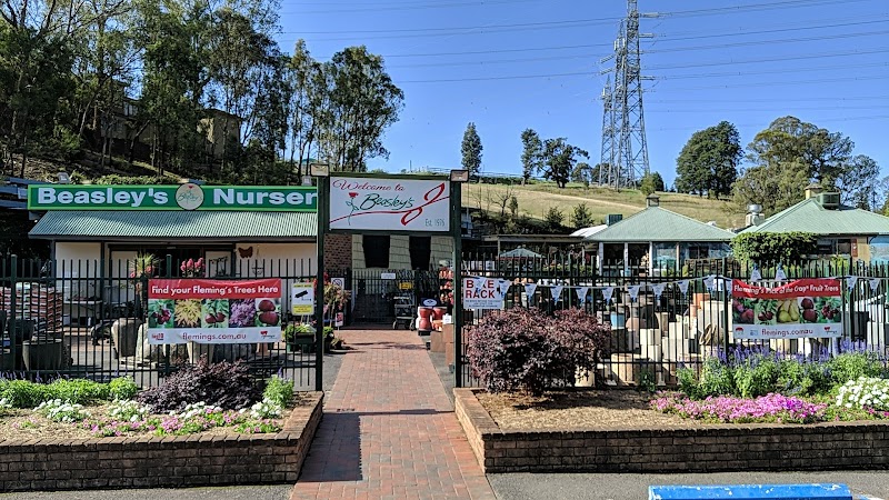 Beasley's Nursery & Tea House