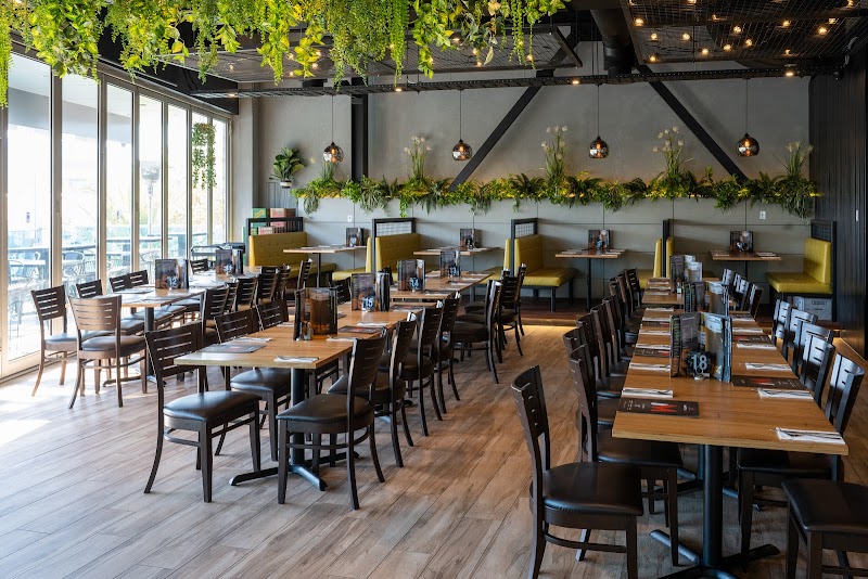 Martini and Co | Bayside Frankston