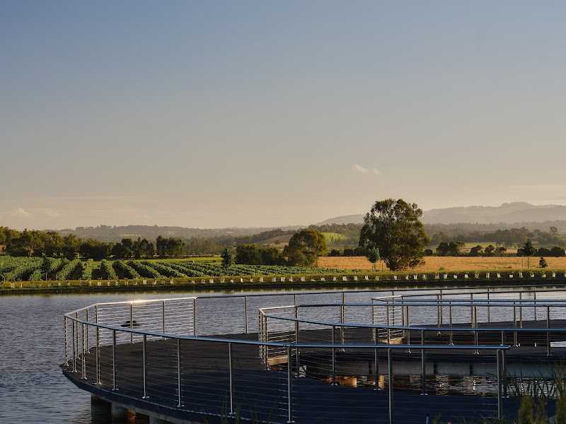 Re’em Yarra Valley at Helen & Joey Estate - Restaurant, Hotel, Best Winery, Cellar Door