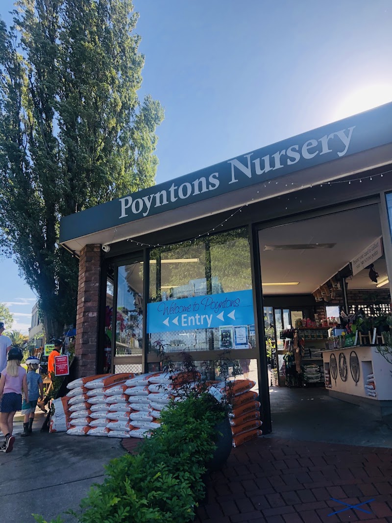 Poyntons Nursery