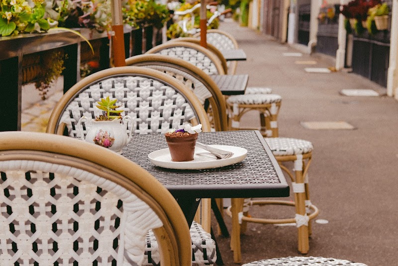 Salam By Mariana Chedid