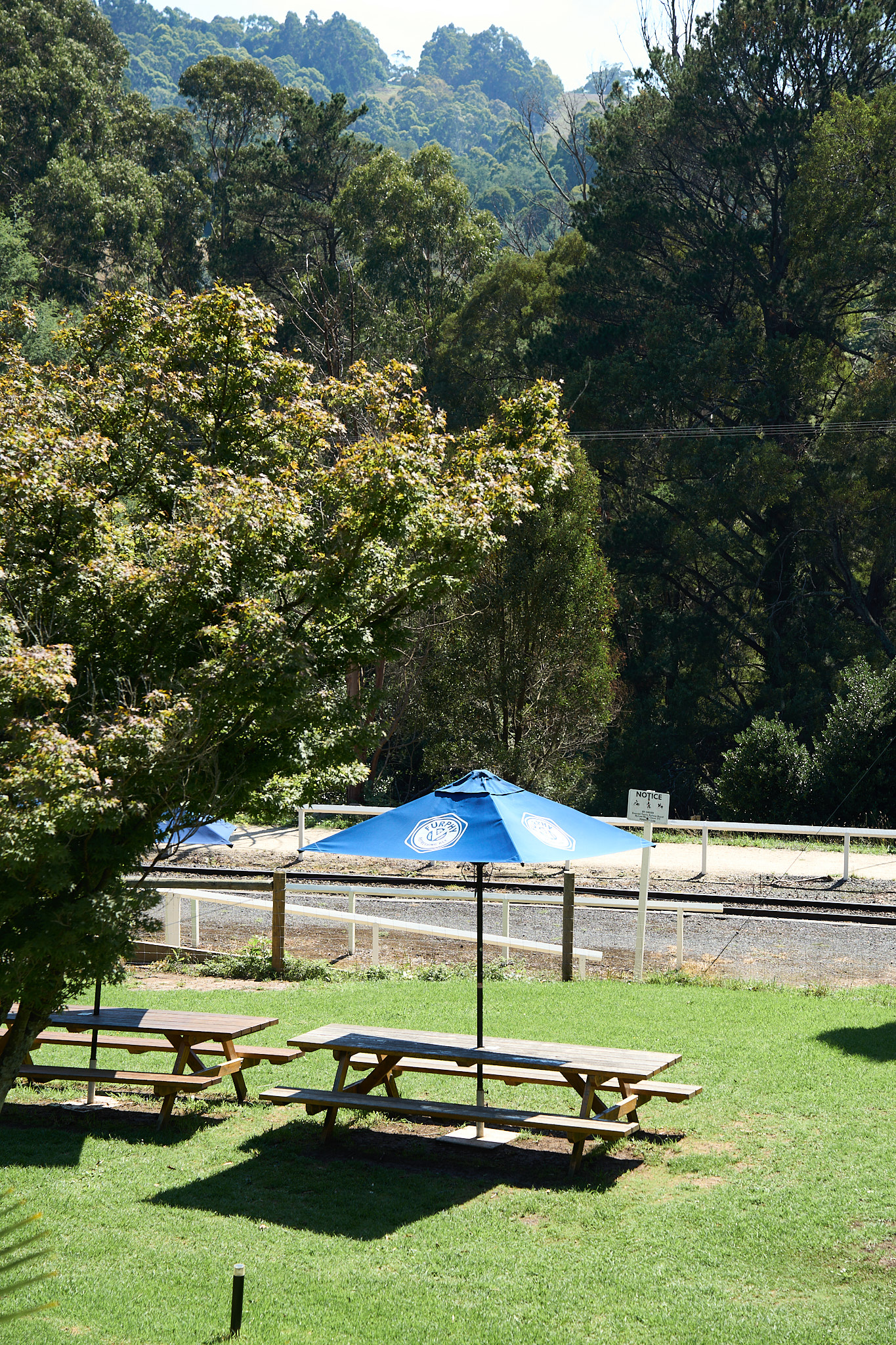 Restaurant photography