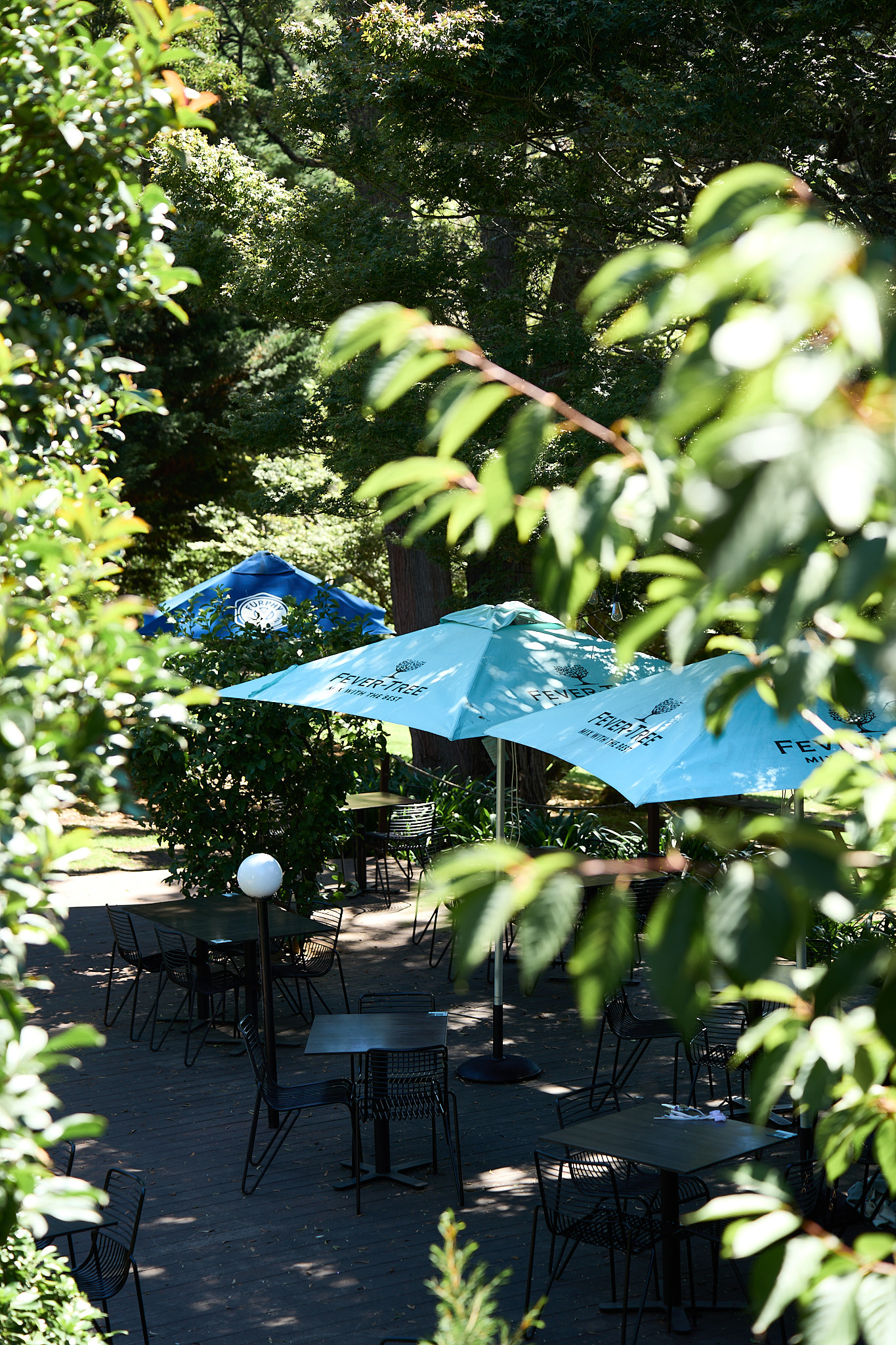 Restaurant photography