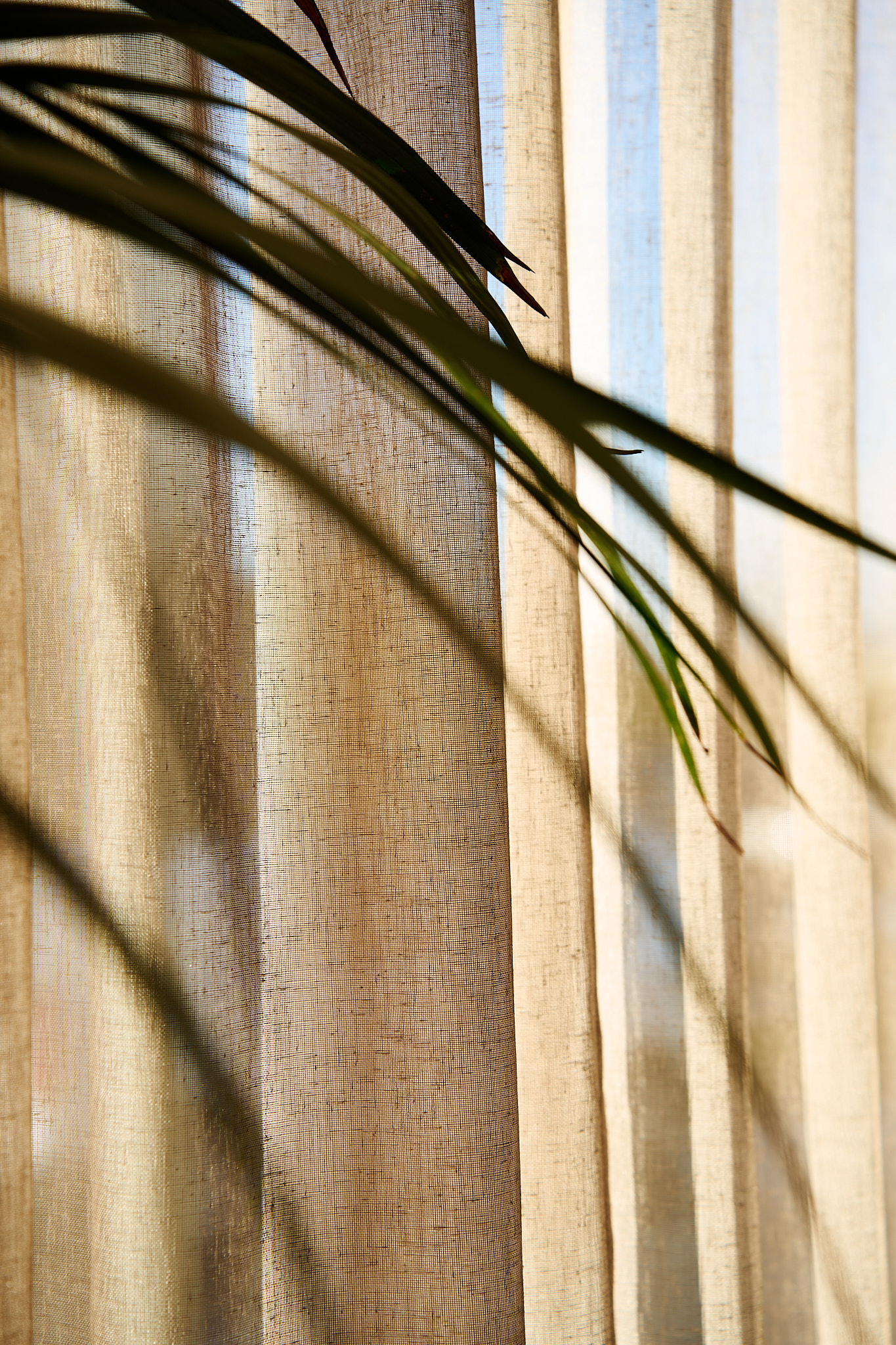 Restaurant photography