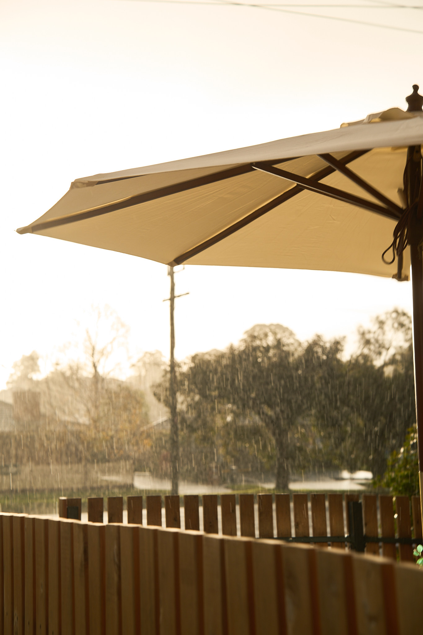 Restaurant photography