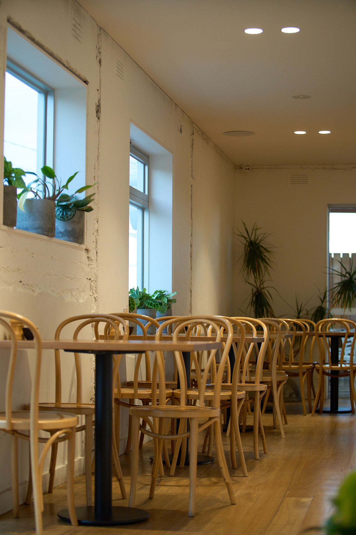 Restaurant photography